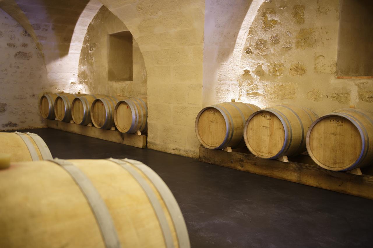 Chambres D'Hotes De Chateau Renon Tabanac Exterior foto